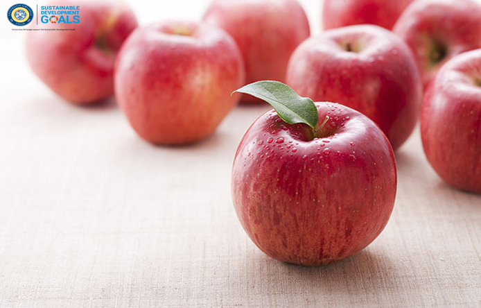 Sumber Gambar: Halodoc.com